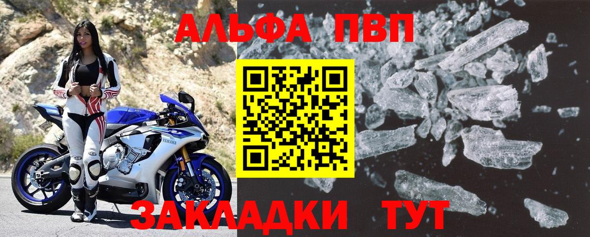 A PVP СК Реутов