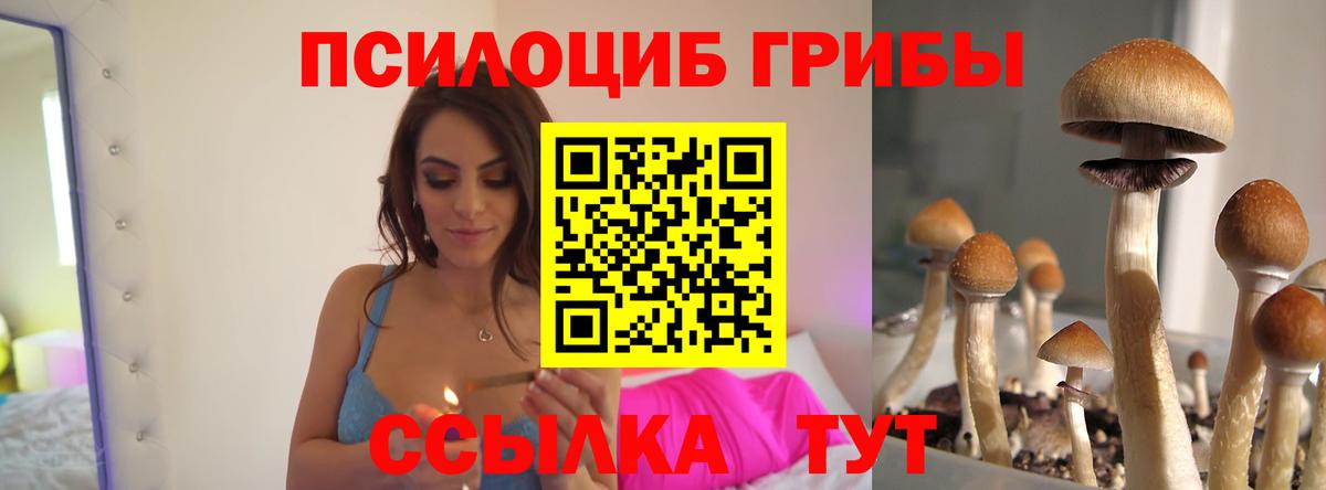 Псилоцибиновые грибы Cubensis Реутов